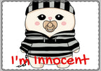 I'm Innocent - Greeting Card